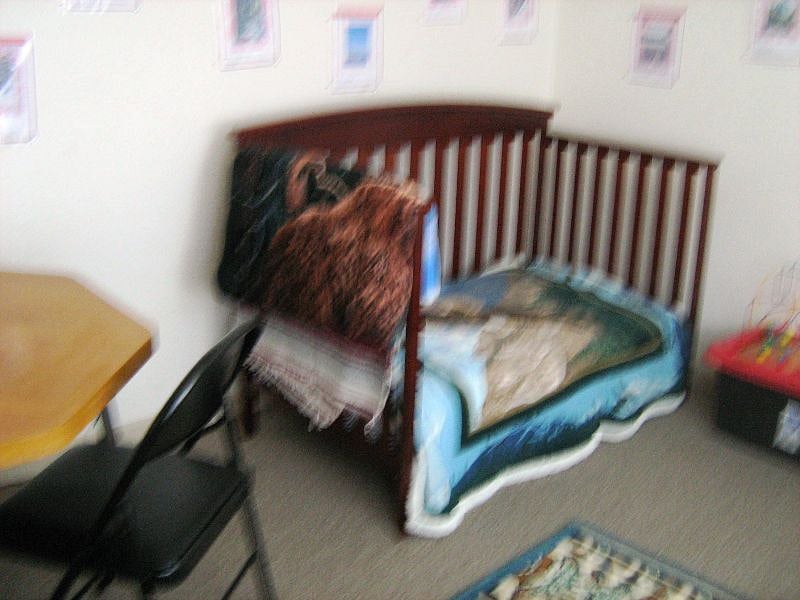 Furnished Finder property 499284_1 photo 27