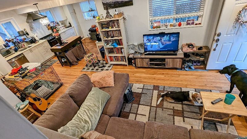 Open concept downstairs plus dogs