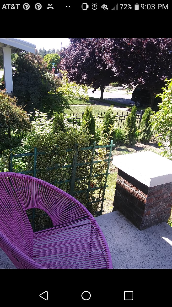 Furnished Finder property 499507_1 photo 15