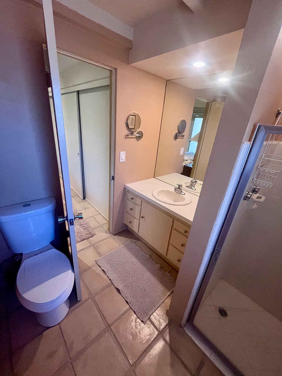 Furnished Finder property 499668_1 photo 19