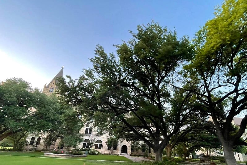 The neighborhood is very walkable, with beautiful buildings and well-maintained sidewalks