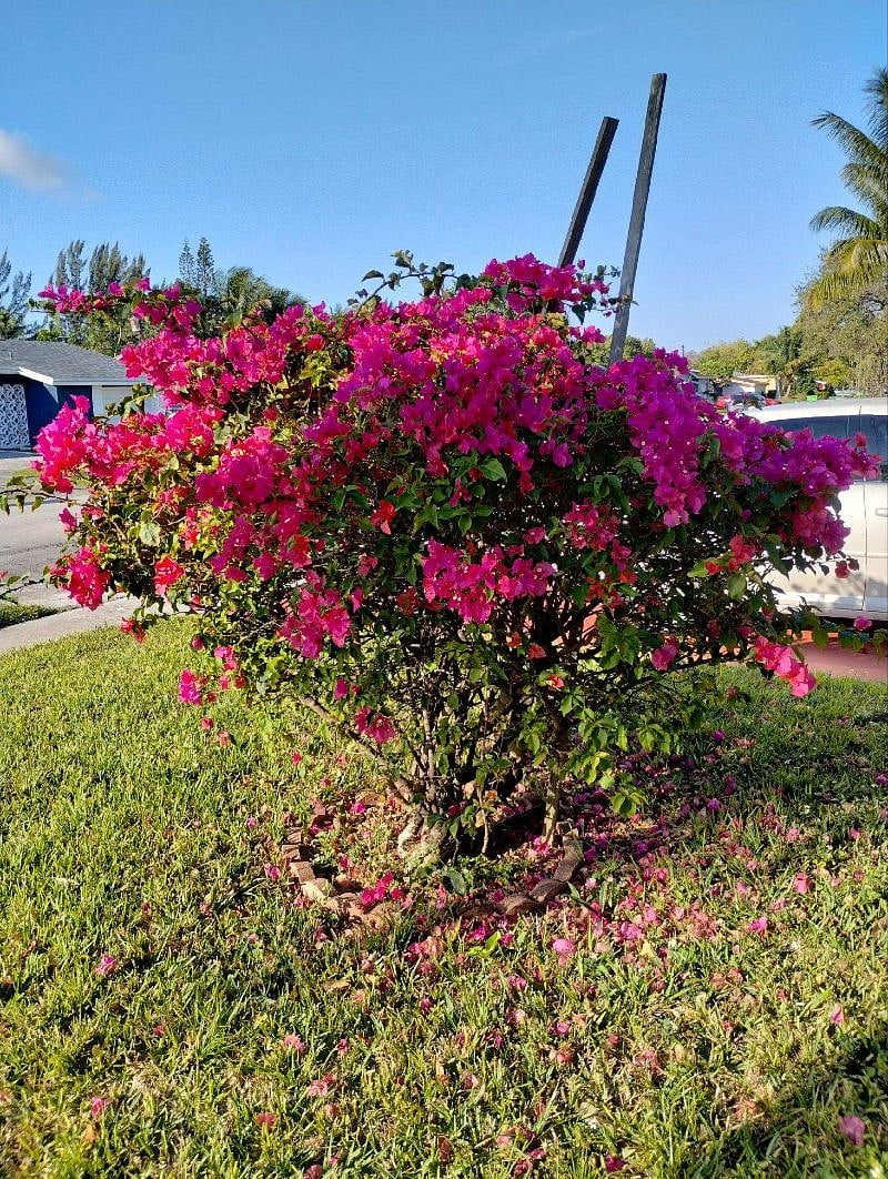 Furnished Finder property 499972_1 photo 12