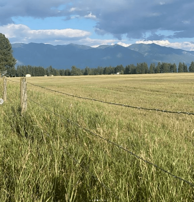View from 2 miles of walking/running/skiing trails around property.