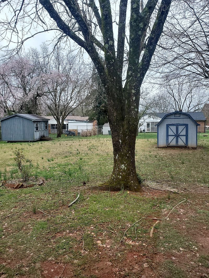 Fenced back yard