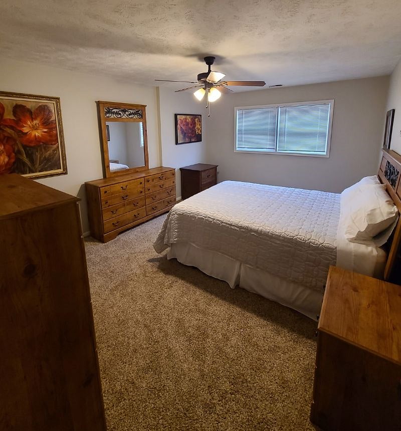 Furnished Finder property 500361_1 photo 8