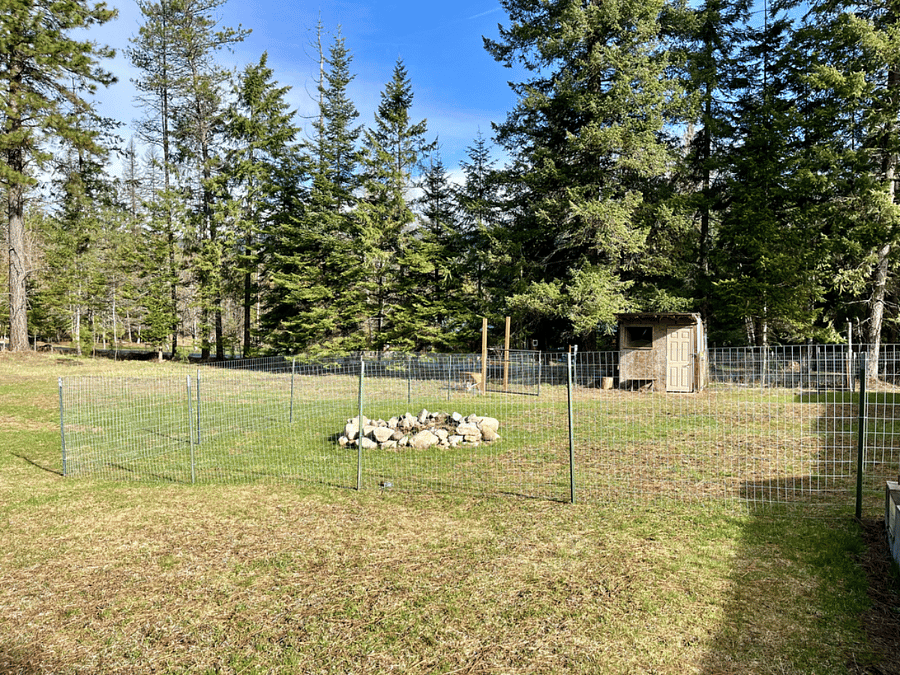 Fenced in back yard area