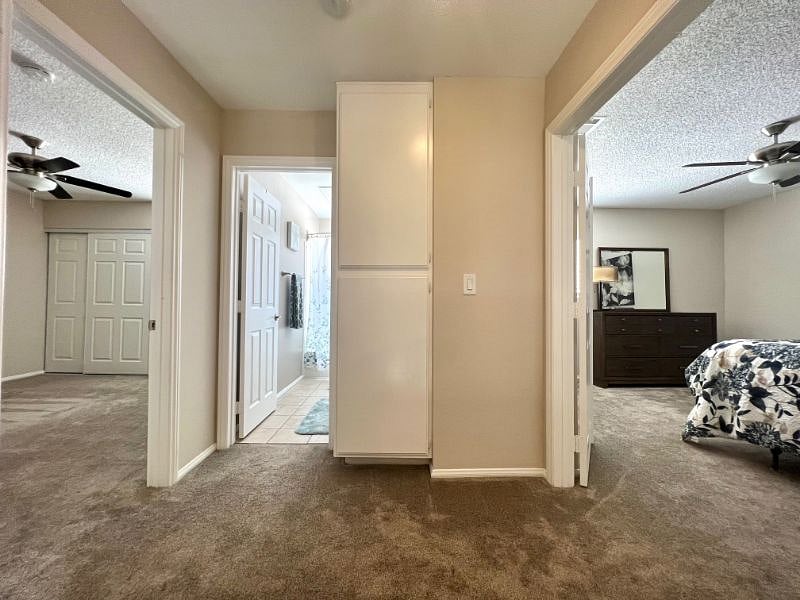Furnished Finder property 500497_1 photo 34