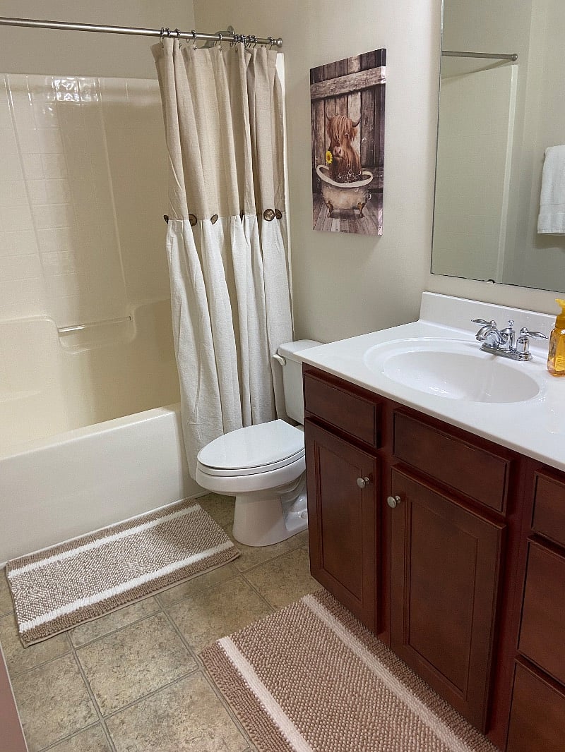 Furnished Finder property 500635_1 photo 8