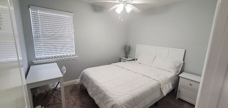 Furnished Finder property 500641_1 photo 13