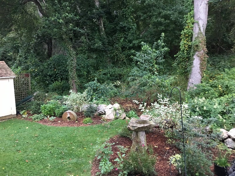 Peace and serenity