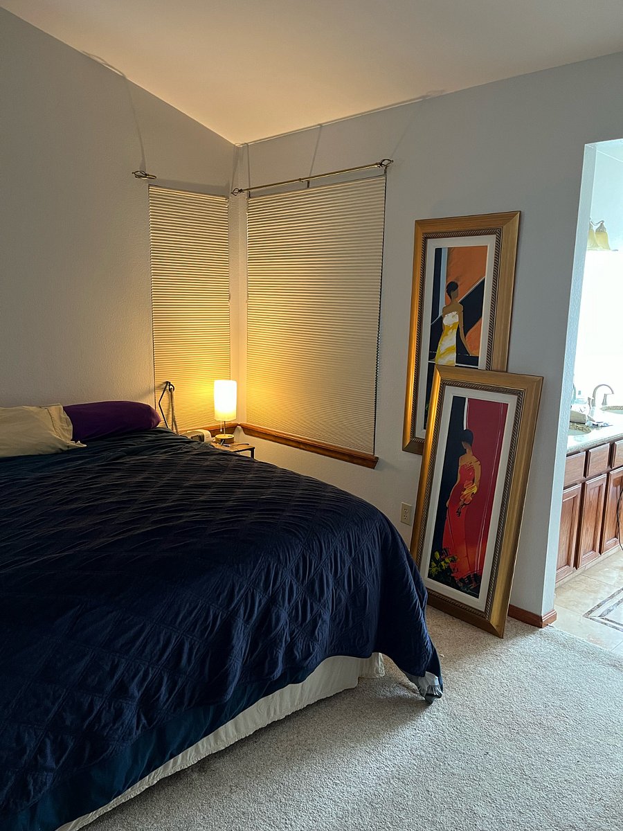 Furnished Finder property 500874_1 photo 21