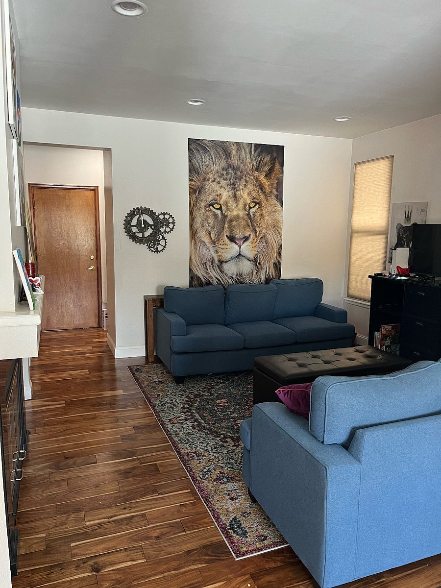 Furnished Finder property 500874_1 photo 22