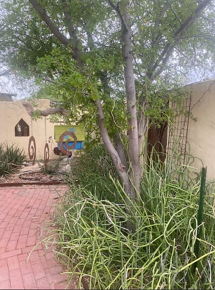 Furnished Finder property 500891_1 photo 12