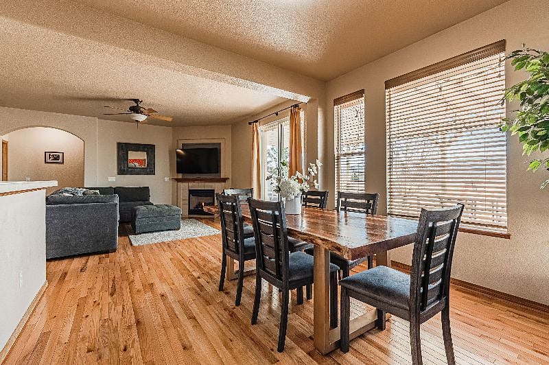 Furnished Finder property 501043_1 photo 44