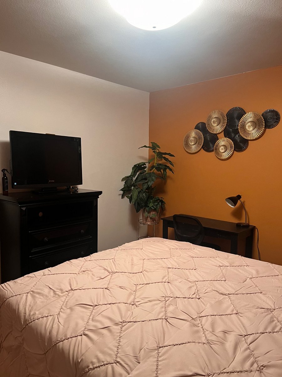 Furnished Finder property 501092_1 photo 5