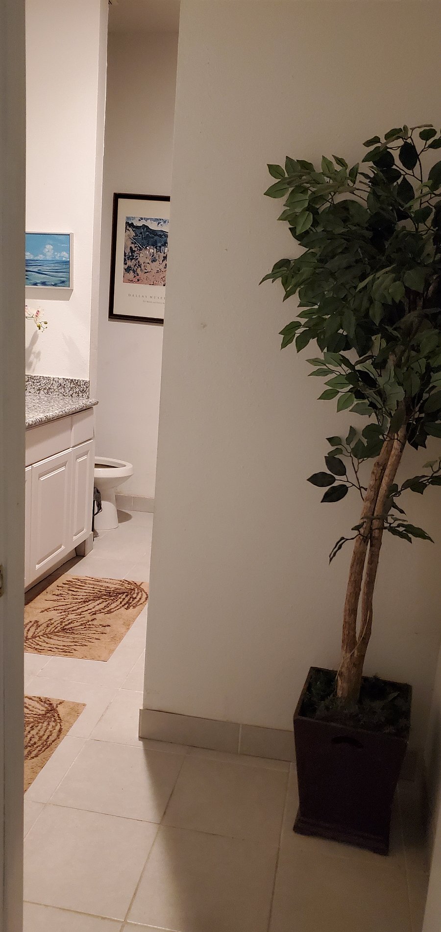 SIDE VIEW OF 1ST RESTROOM.