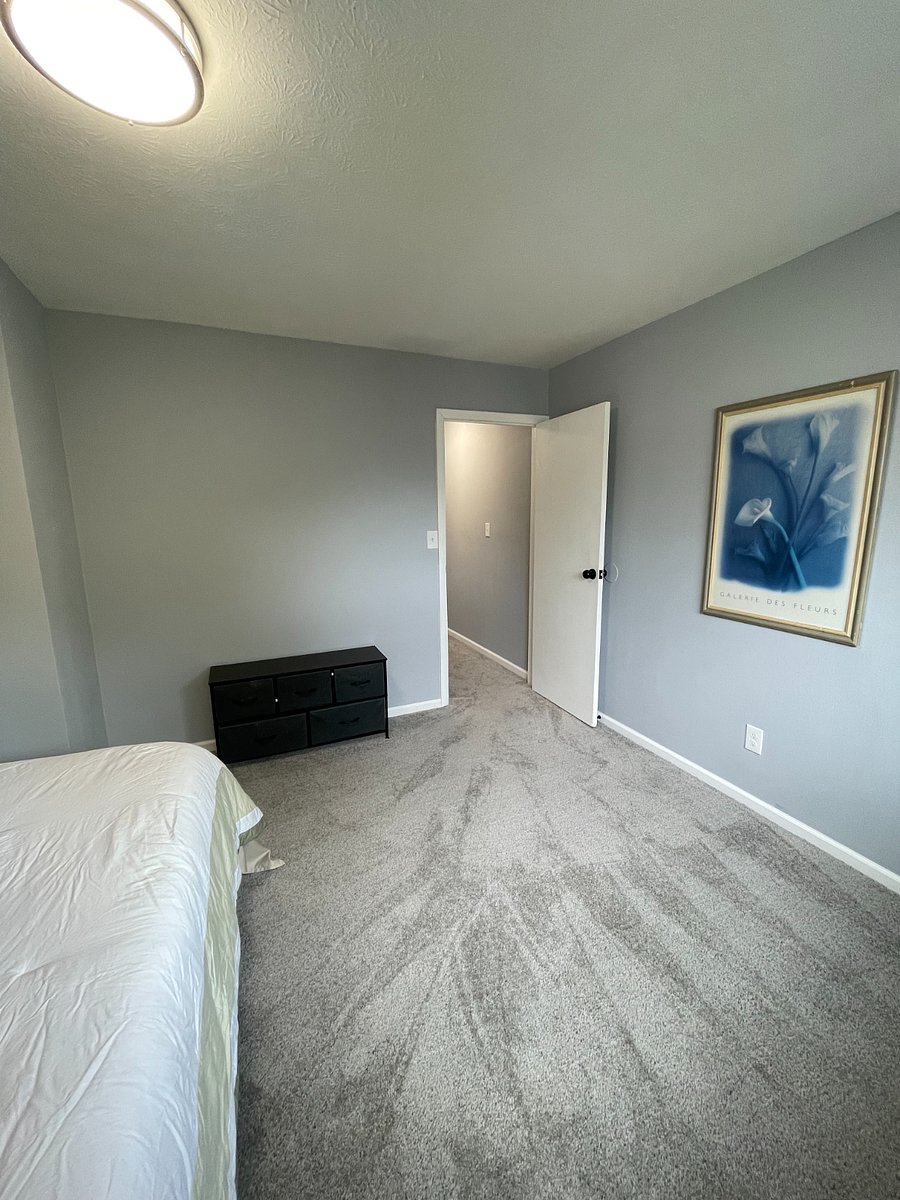Furnished Finder property 501287_1 photo 17