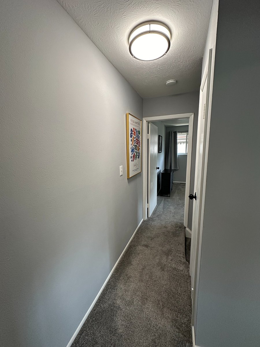Furnished Finder property 501287_1 photo 21