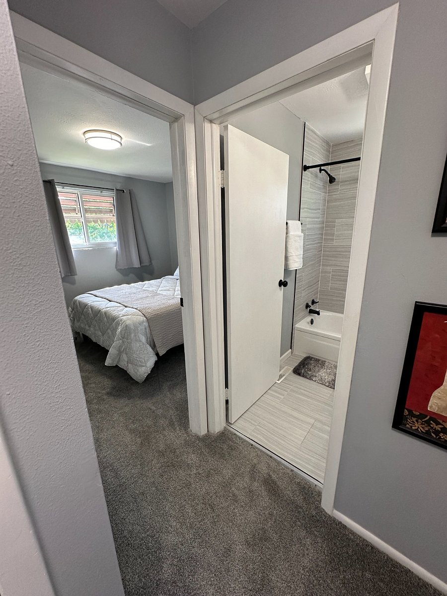 Furnished Finder property 501287_1 photo 22