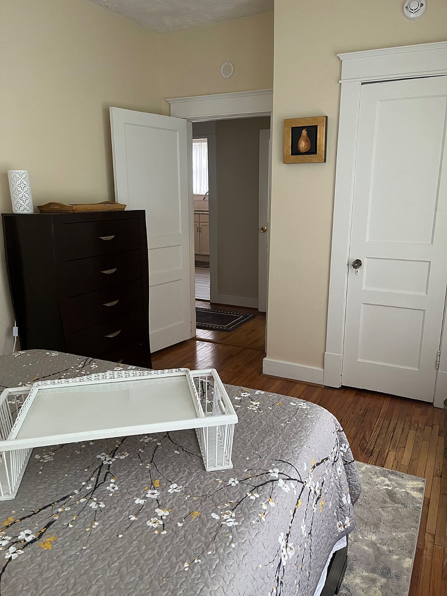 Furnished Finder property 501328_1 photo 20