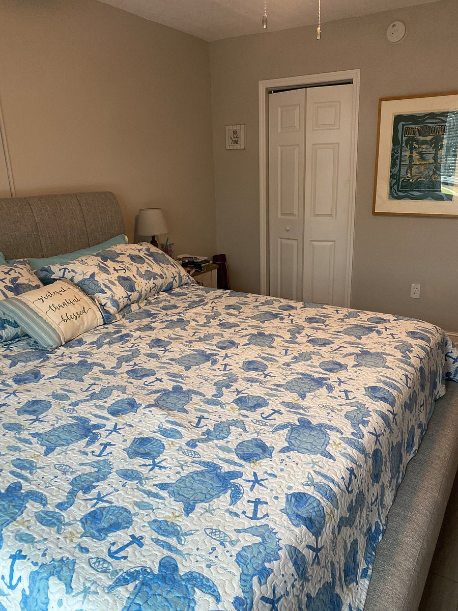 Furnished Finder property 501340_1 photo 11