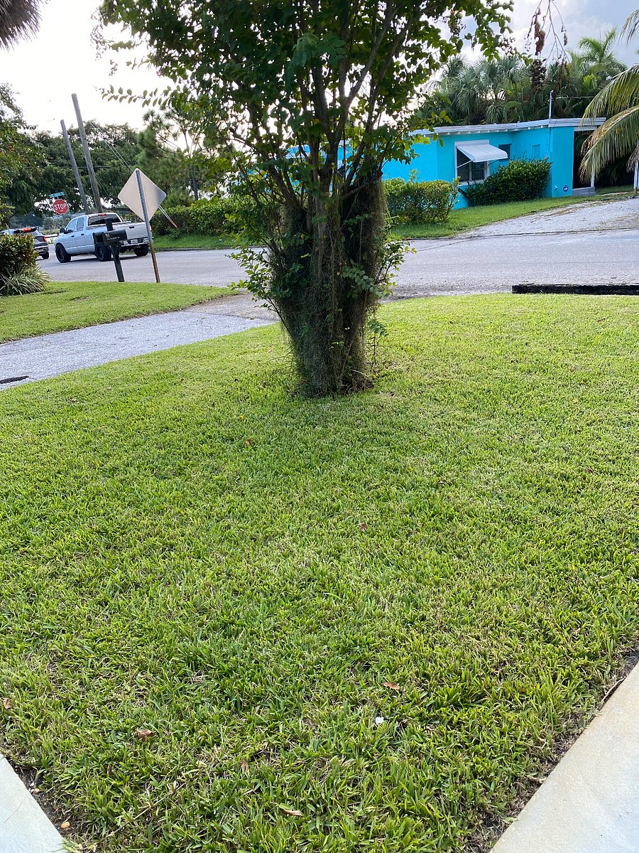 Furnished Finder property 501394_1 photo 20
