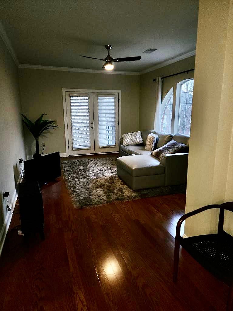 Furnished Finder property 501430_1 photo 8