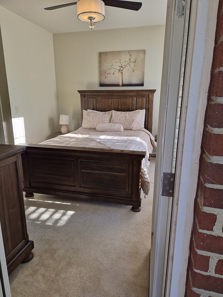 Furnished Finder property 501430_1 photo 16