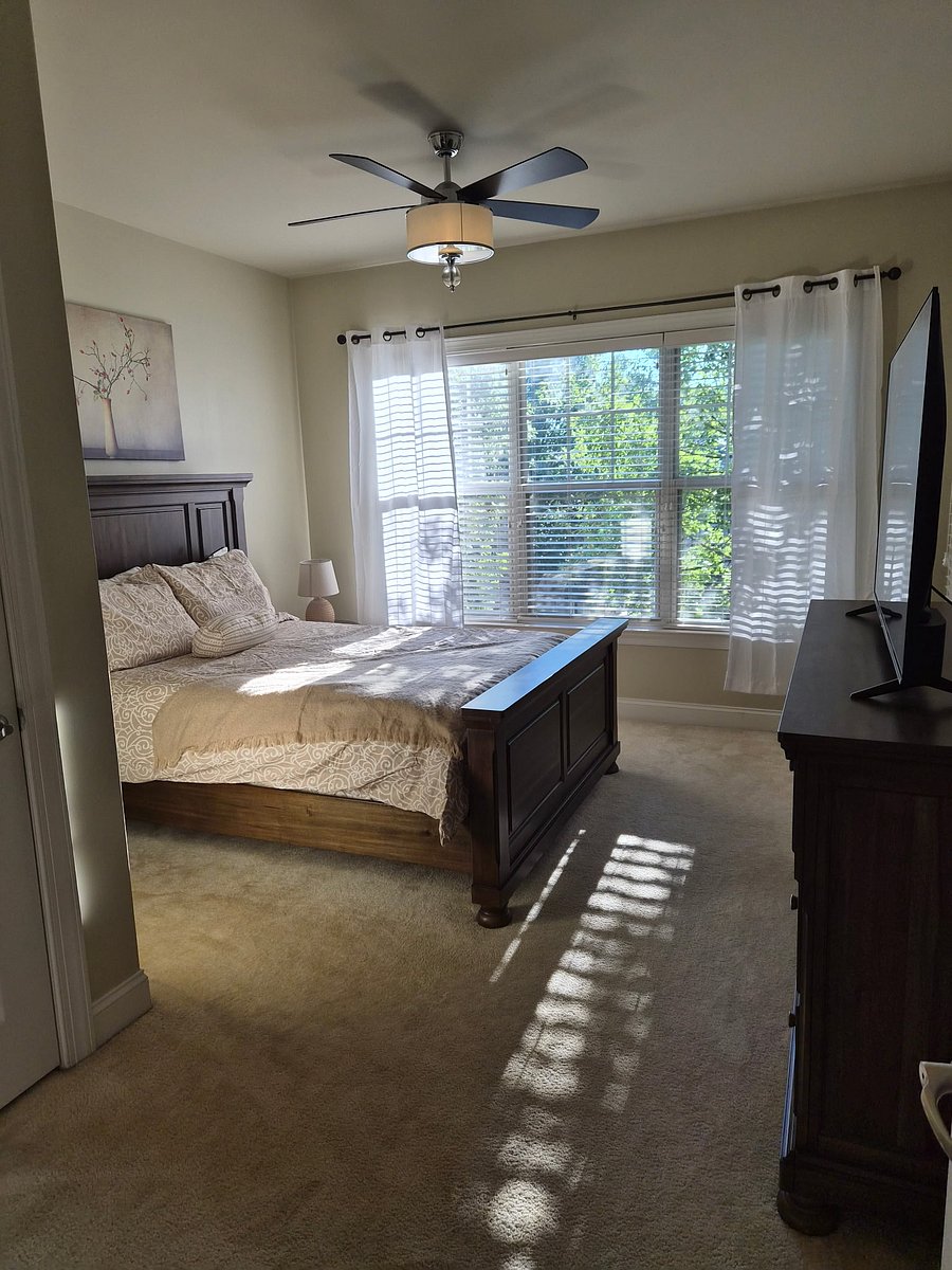 Furnished Finder property 501430_1 photo 14