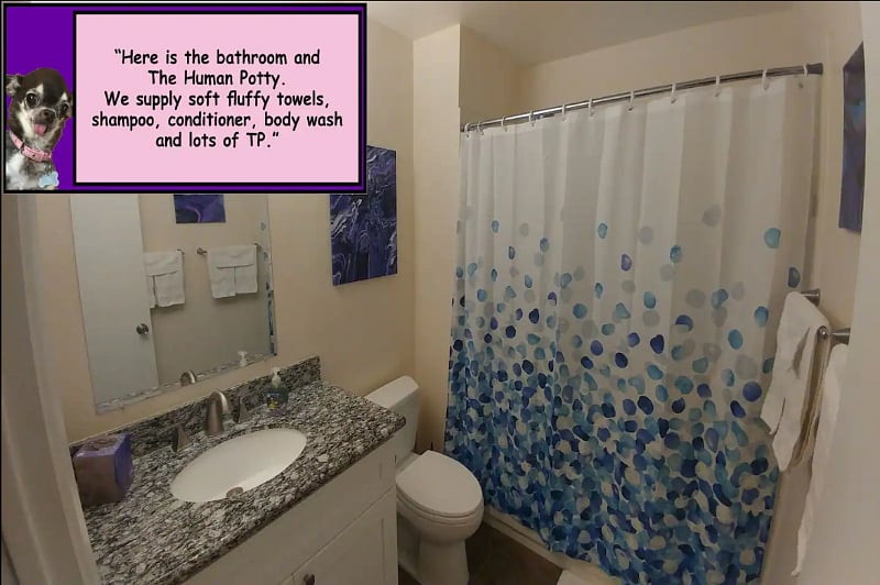 Furnished Finder property 501614_1 photo 8