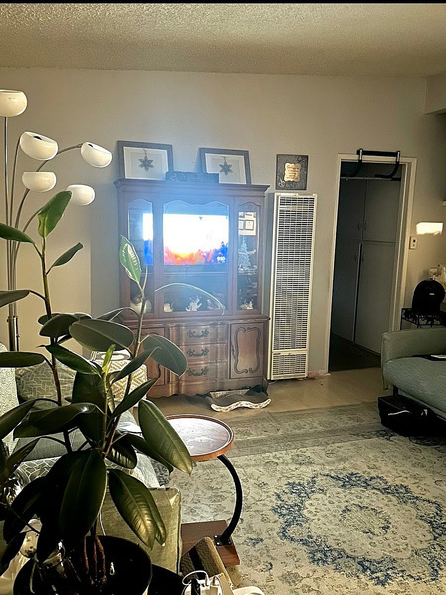 Furnished Finder property 501739_1 photo 8