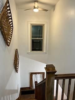Furnished Finder property 501820_1 photo 8