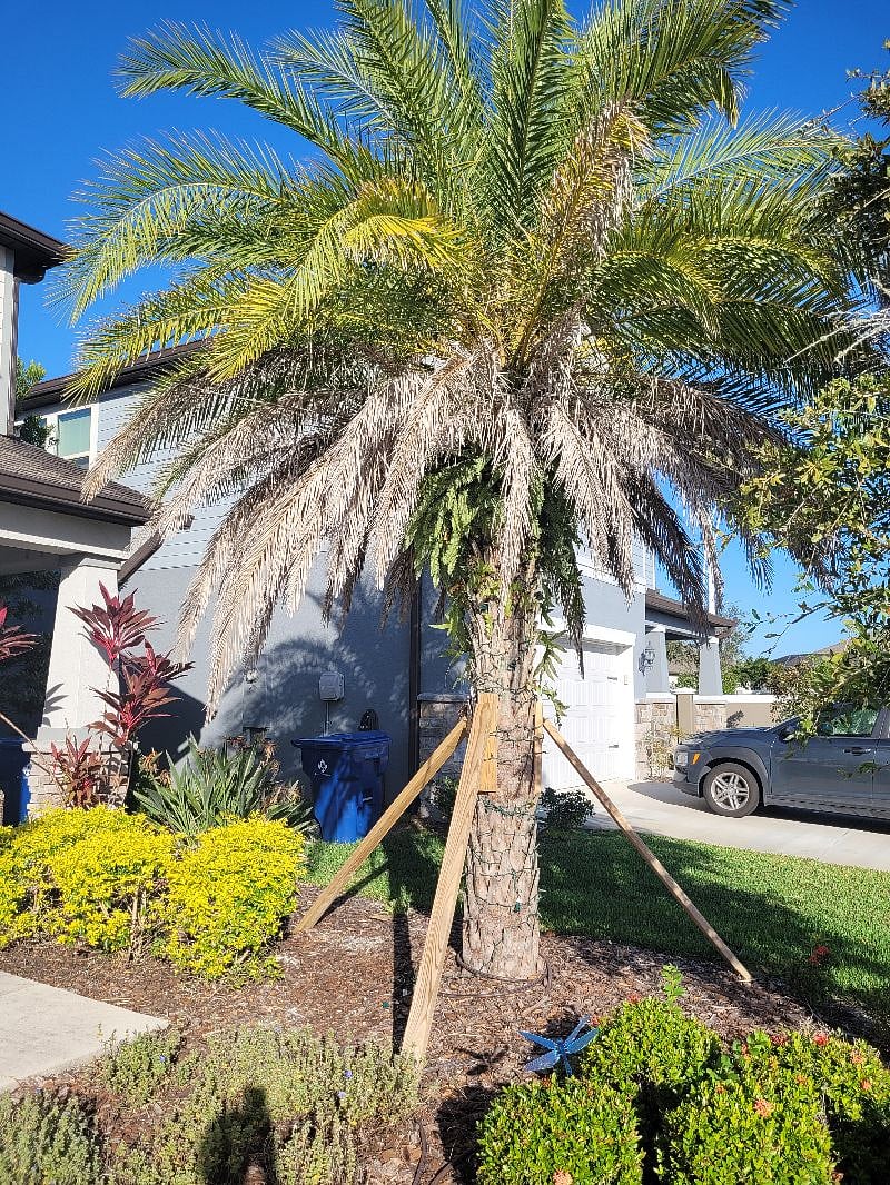 Furnished Finder property 501865_1 photo 46