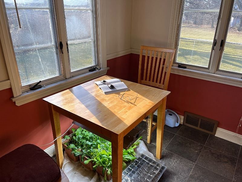 Furnished Finder property 501941_1 photo 7