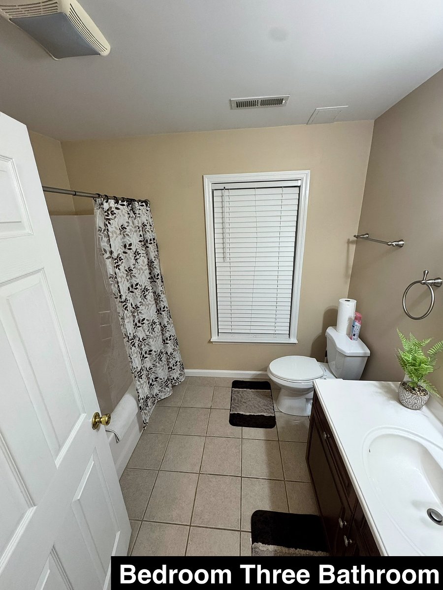 Furnished Finder property 501953_1 photo 19