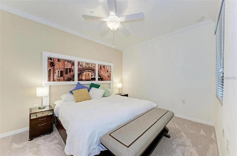 Furnished Finder property 501988_1 photo 12