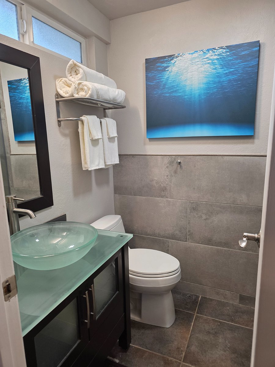 Furnished Finder property 502133_2 photo 11