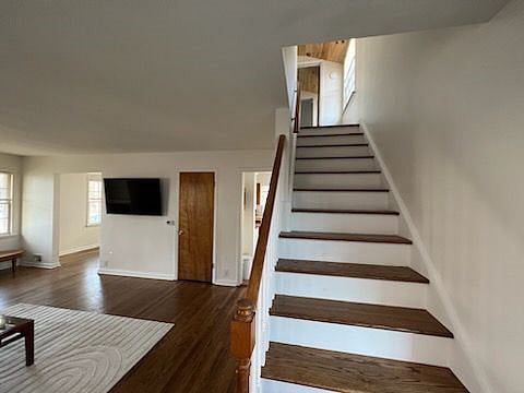Furnished Finder property 502160_1 photo 21