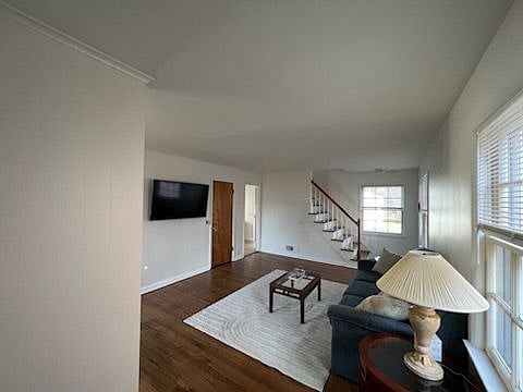 Furnished Finder property 502160_1 photo 20