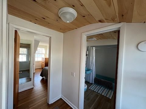 Furnished Finder property 502160_1 photo 22
