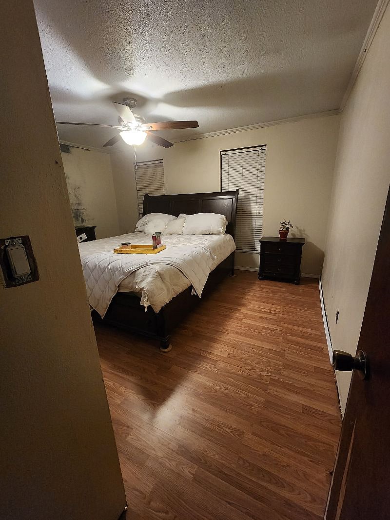 Furnished Finder property 502167_1 photo 6