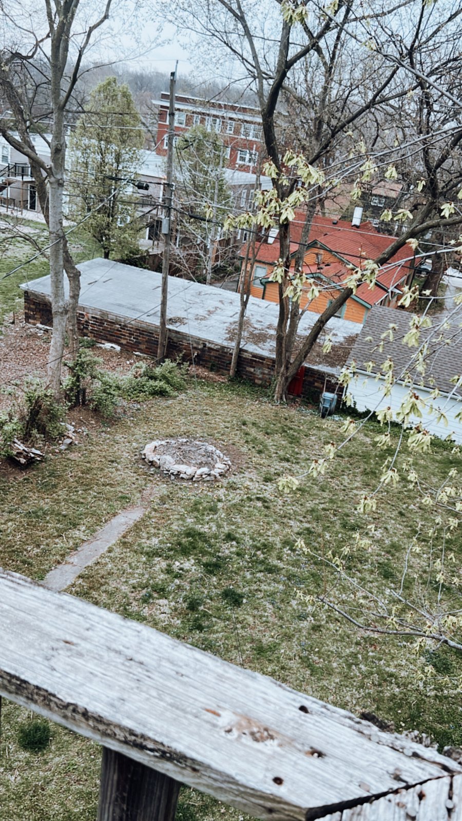 back yard