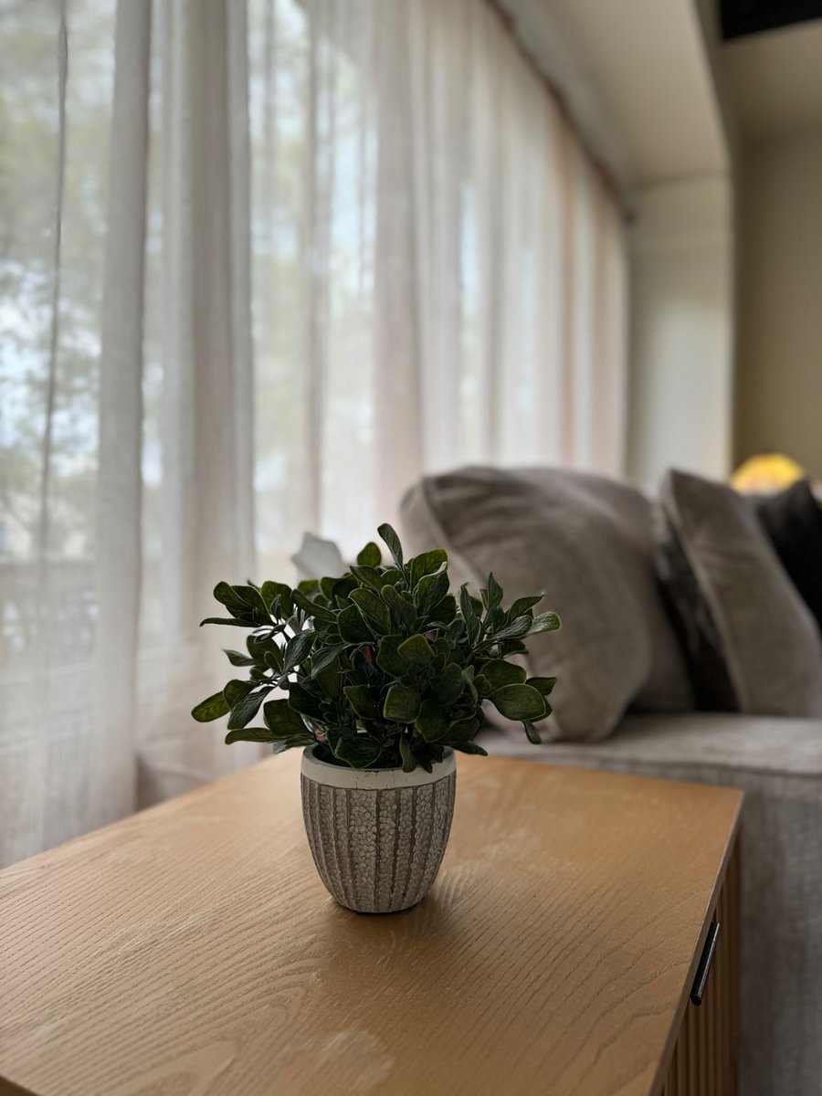Furnished Finder property 502615_1 photo 10