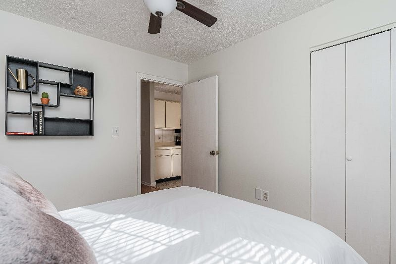 Furnished Finder property 502759_1 photo 13