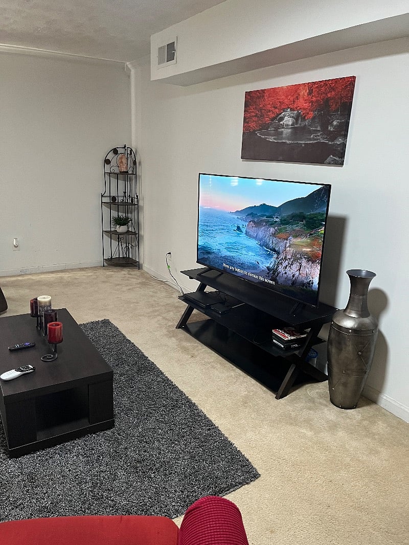 Furnished Finder property 502774_1 photo 14
