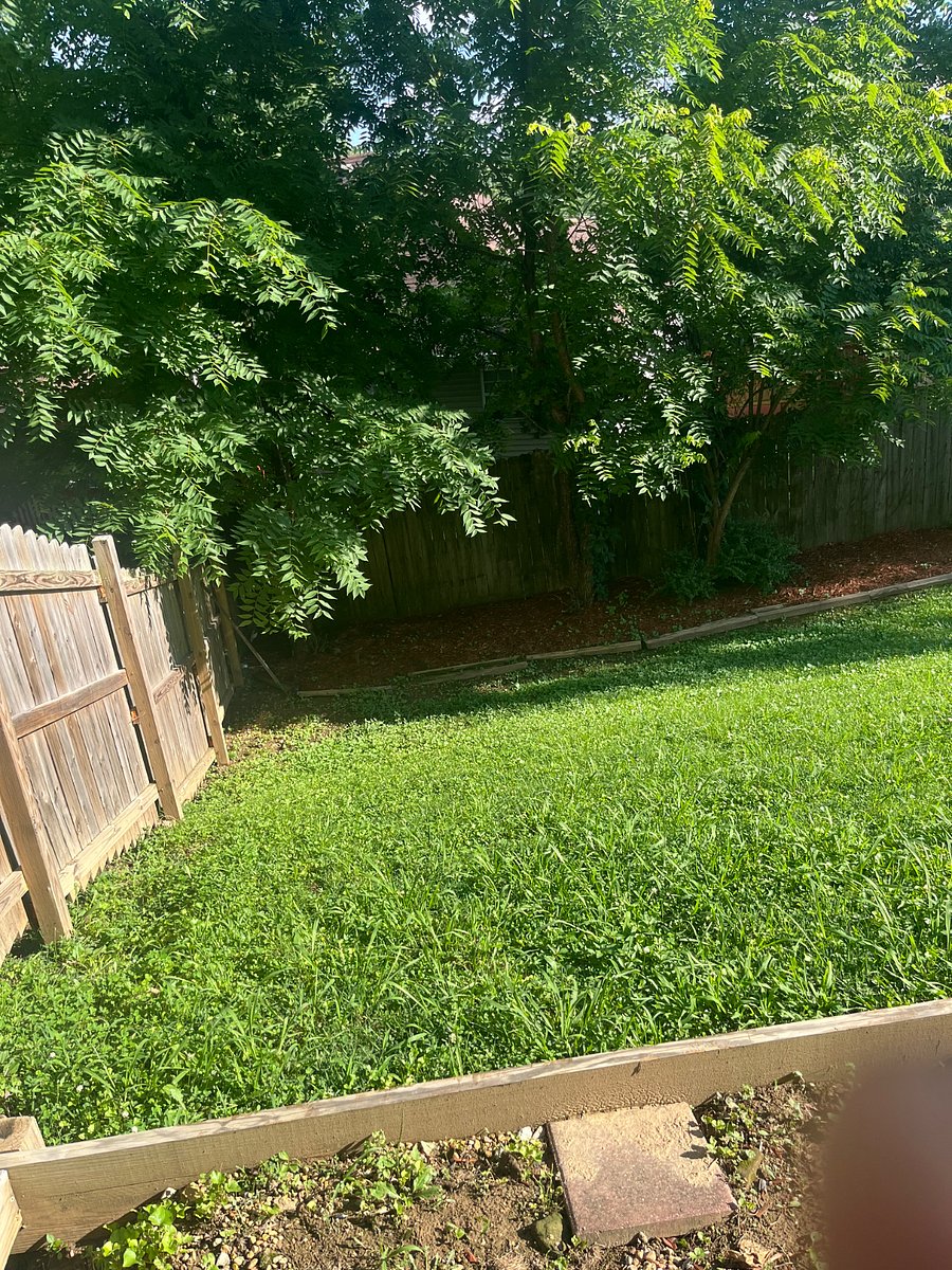 Furnished Finder property 502774_1 photo 23