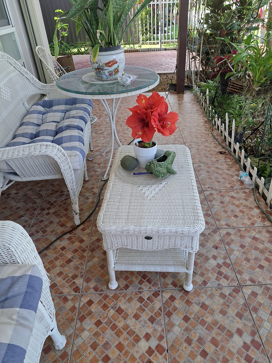 Furnished Finder property 502776_1 photo 6