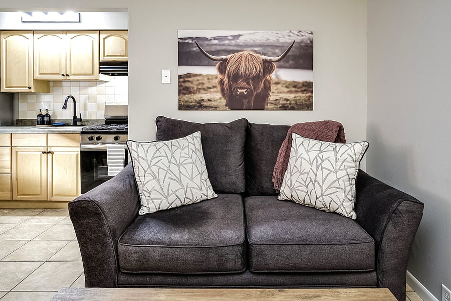 Furnished Finder property 502780_1 photo 11