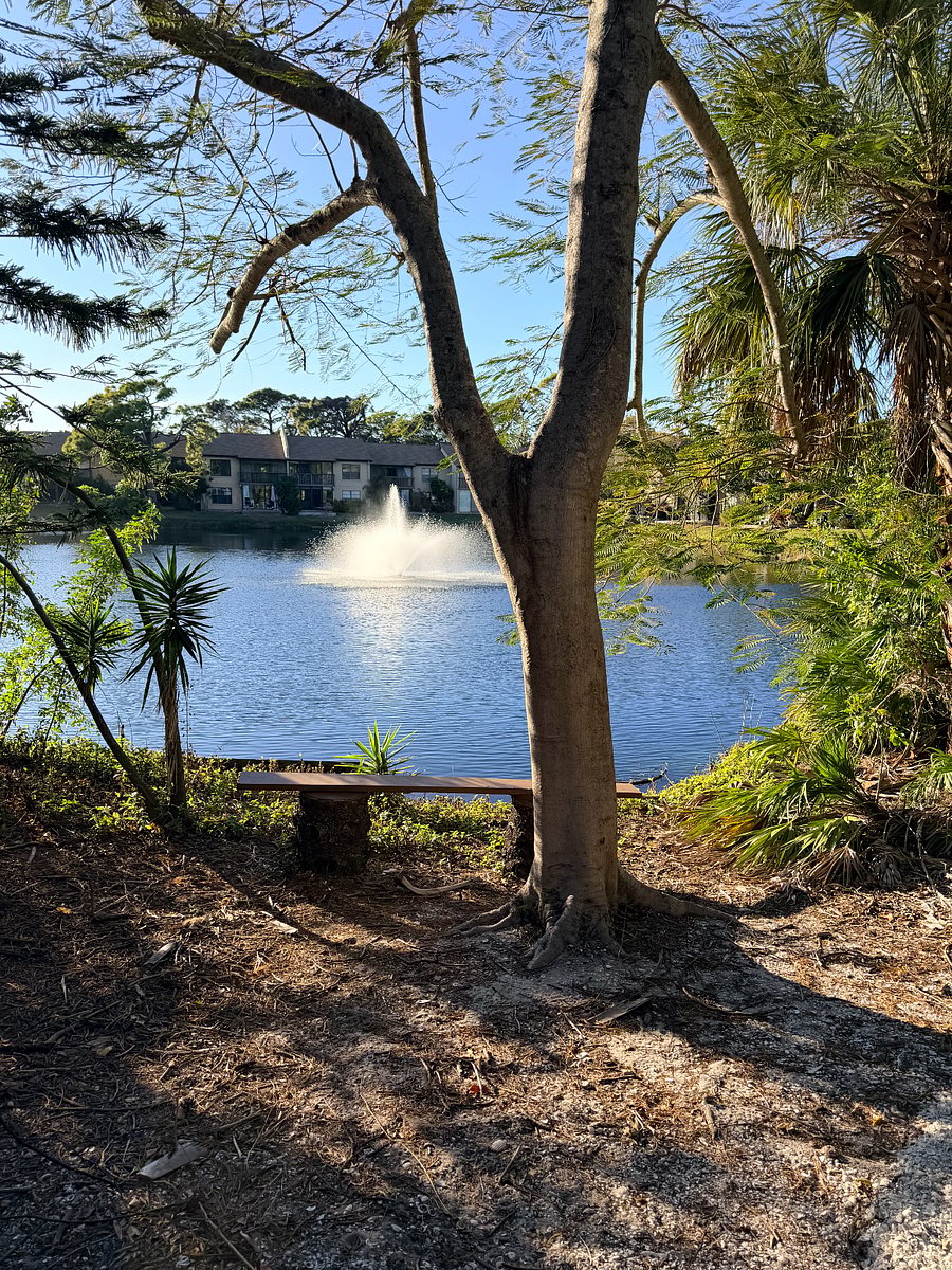 Nice little area for mediation. 