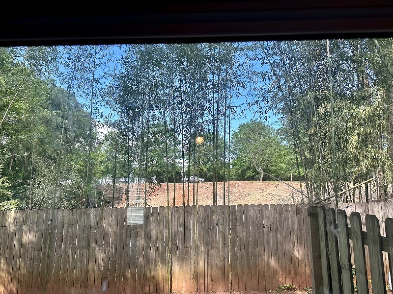 View out kitchen window
